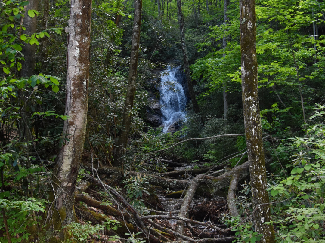 Log Hollow Falls景点图片