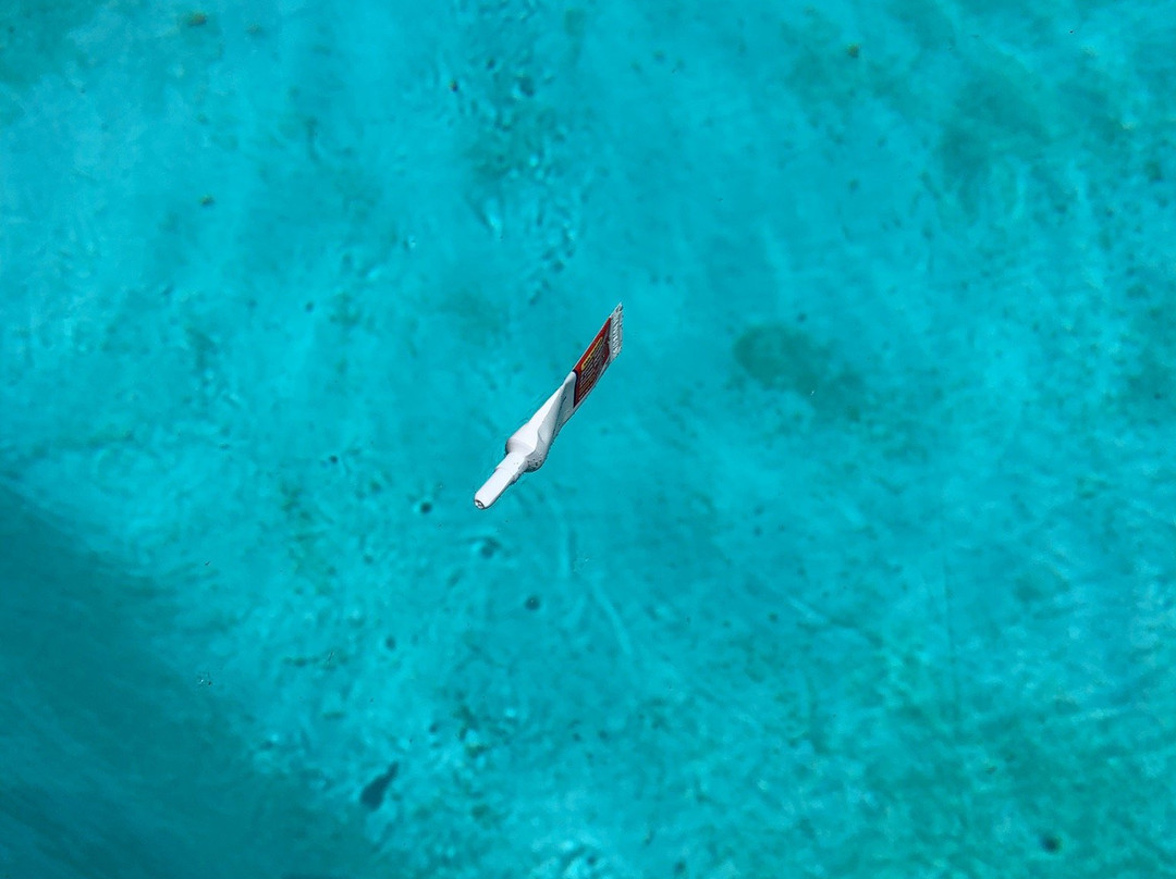 Super 8 by Wyndham Redding主图