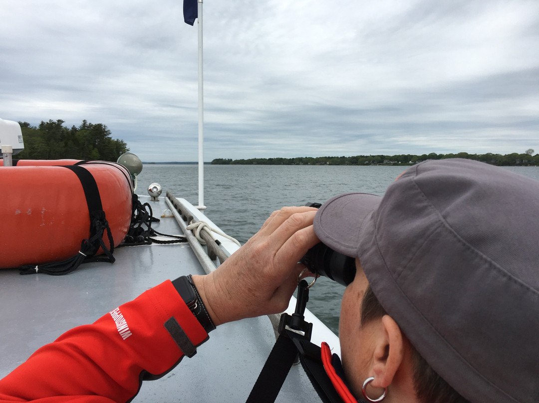 Seacoast Tours of Freeport-弗里波特必去景点