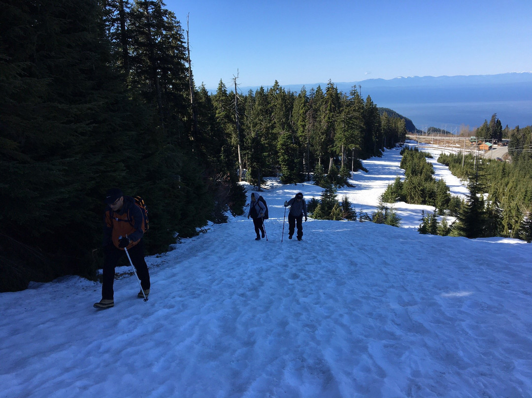 Hollyburn Mountain景点图片