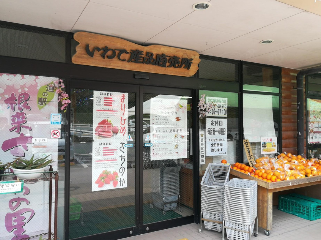 Michi no Eki Negoro Sakuranosato-岩出市必去景点