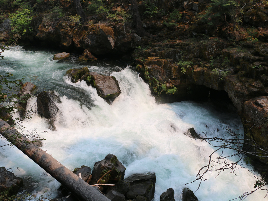 Natural Bridge Viewpoint-Prospect必去景点