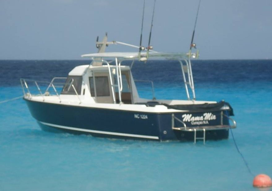 DCTA Taxi & Tour Services-威廉斯塔德必去景点