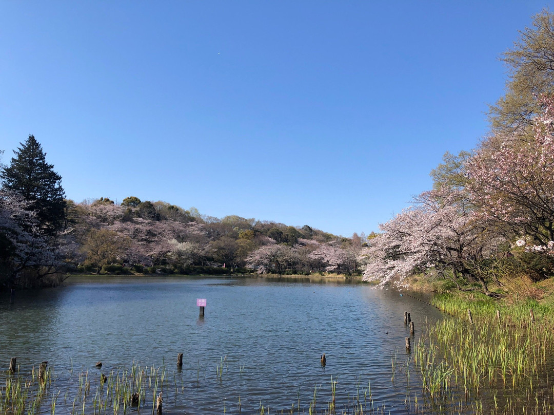 Mitsuike Park景点图片