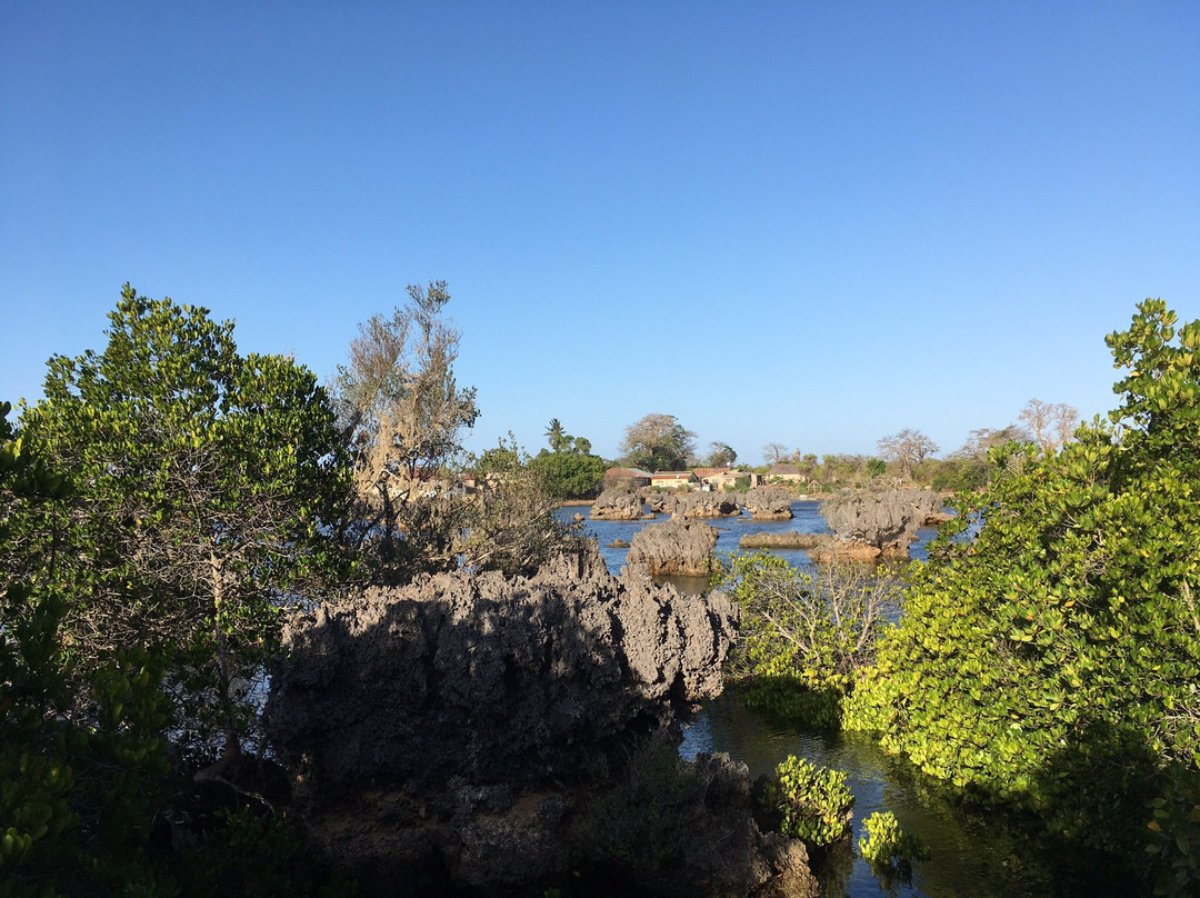 Coral Gardens-Wasini Island必去景点