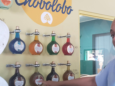 D'Luxury Travel-威廉斯塔德必去景点