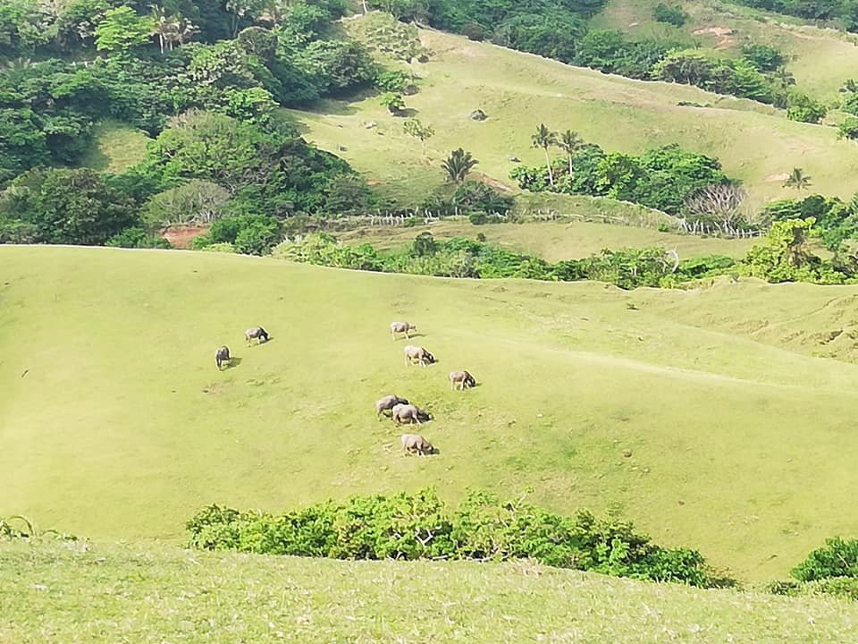 Marlboro Hills-Mahatao必去景点
