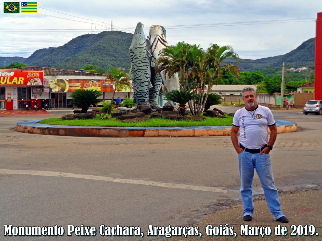 Peixe Cachara Monument景点图片