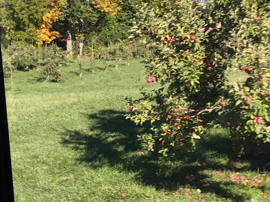 Champlain Orchards景点图片