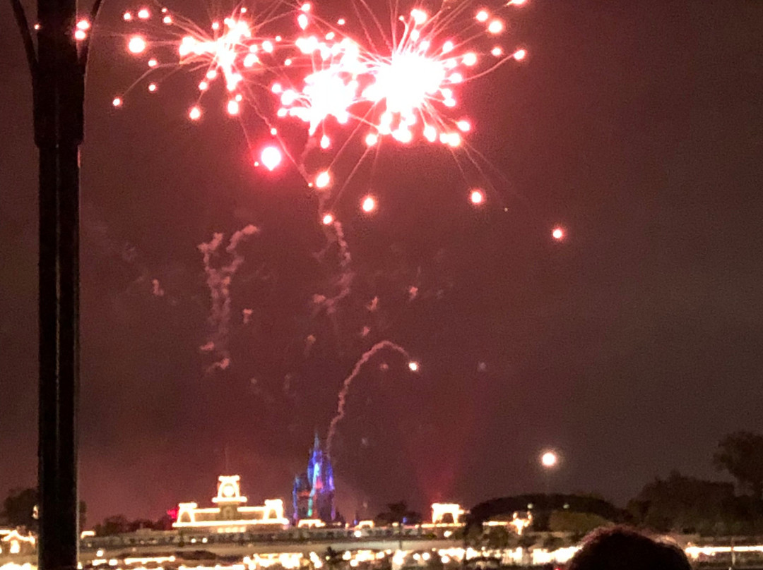 Pirates & Pals Fireworks Voyage-奥兰多必去景点