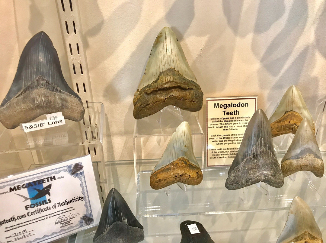 Stoneworks Lapidary-里霍博斯比奇必去景点