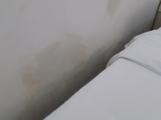 Mangrove River Resort主图