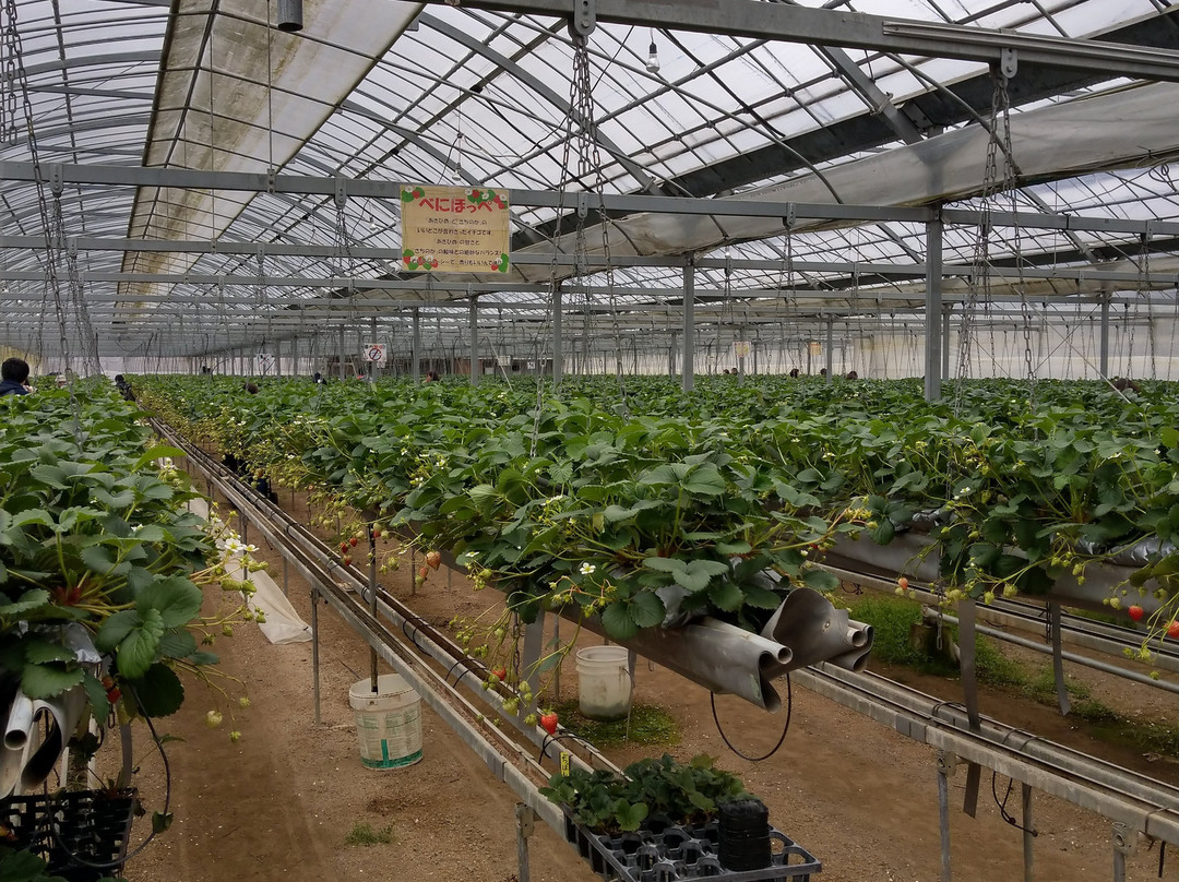 Mimasaka Farm-美作市必去景点