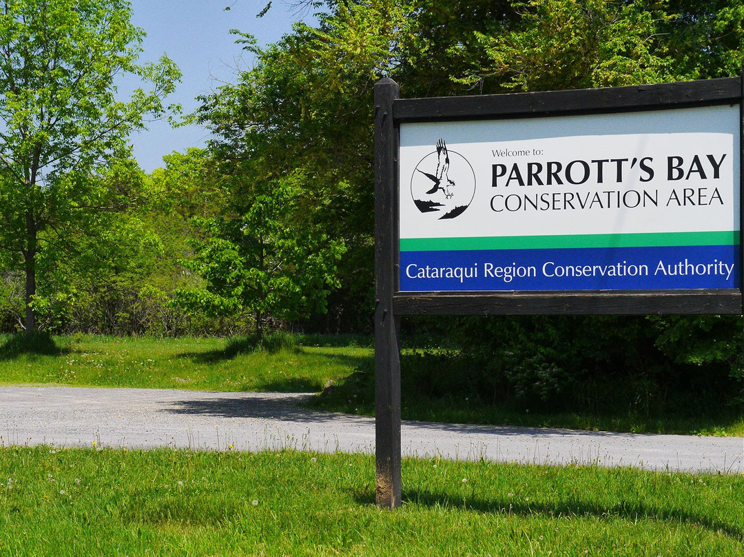 Parrott's Bay Conservation Area景点图片