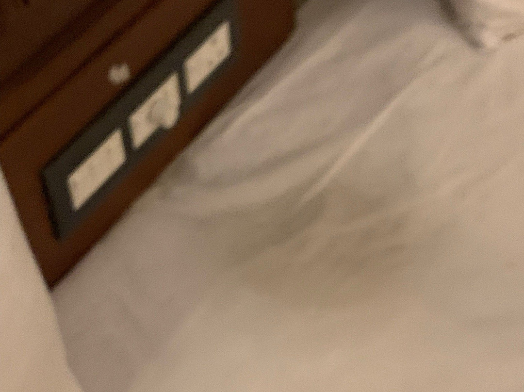 精英宫酒店主图