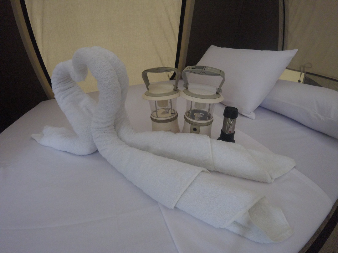 The Easy Adventure主图