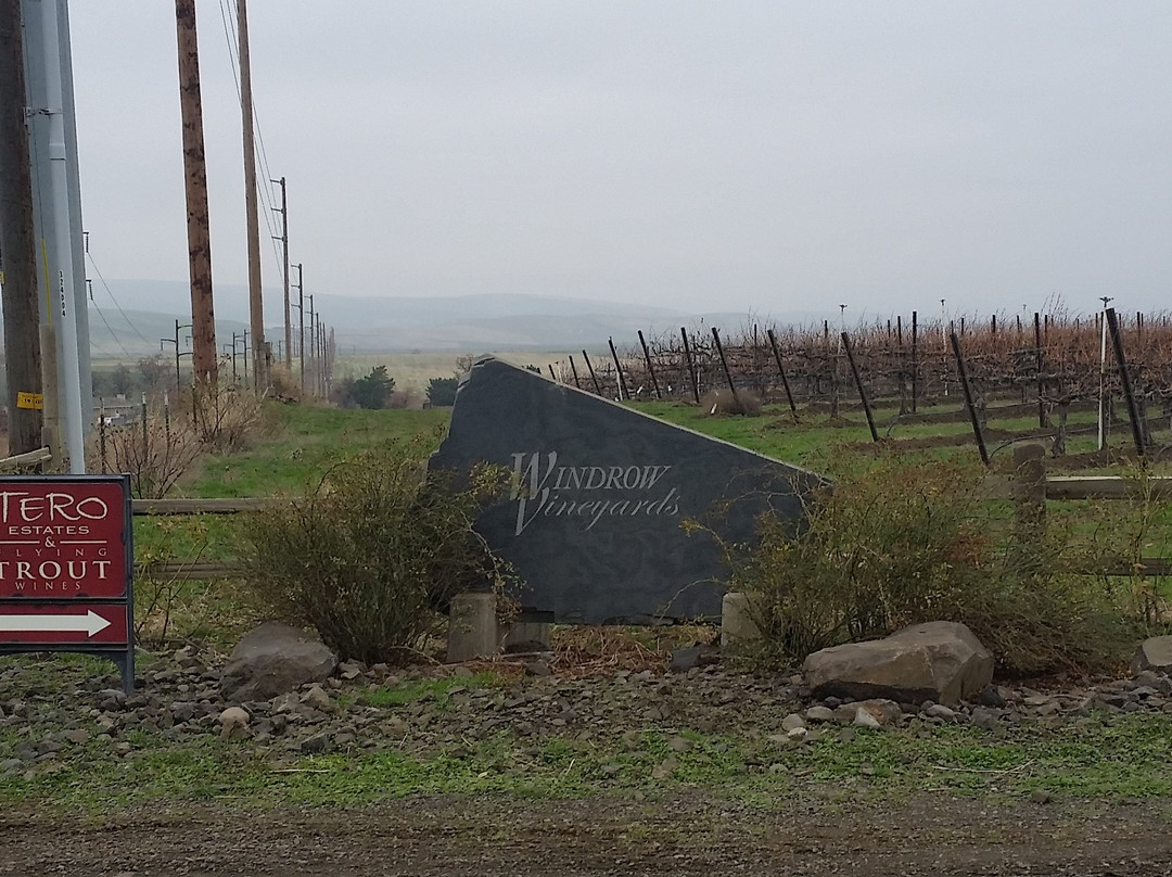 TERO Estates & Flying Trout Wines景点图片