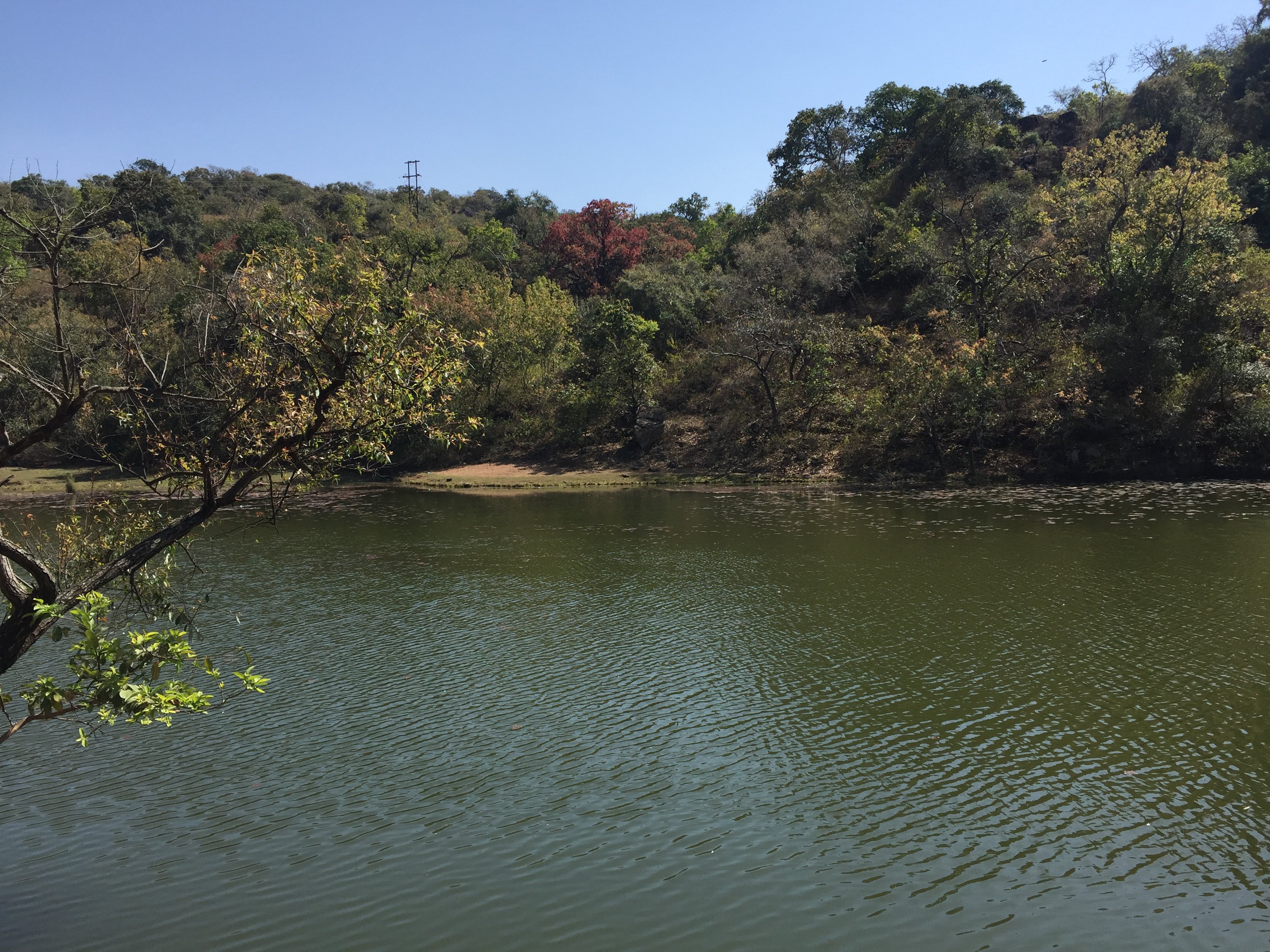 Satpura National Park guest houses-官方