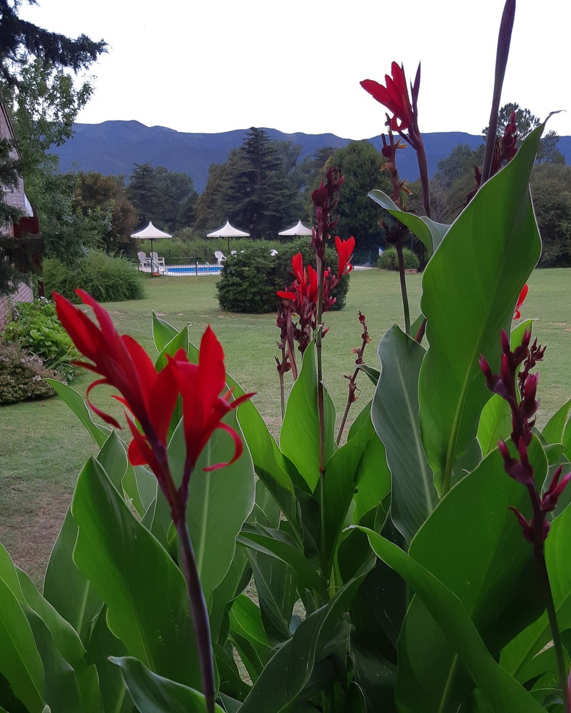 Cabanas Calicanto-官方