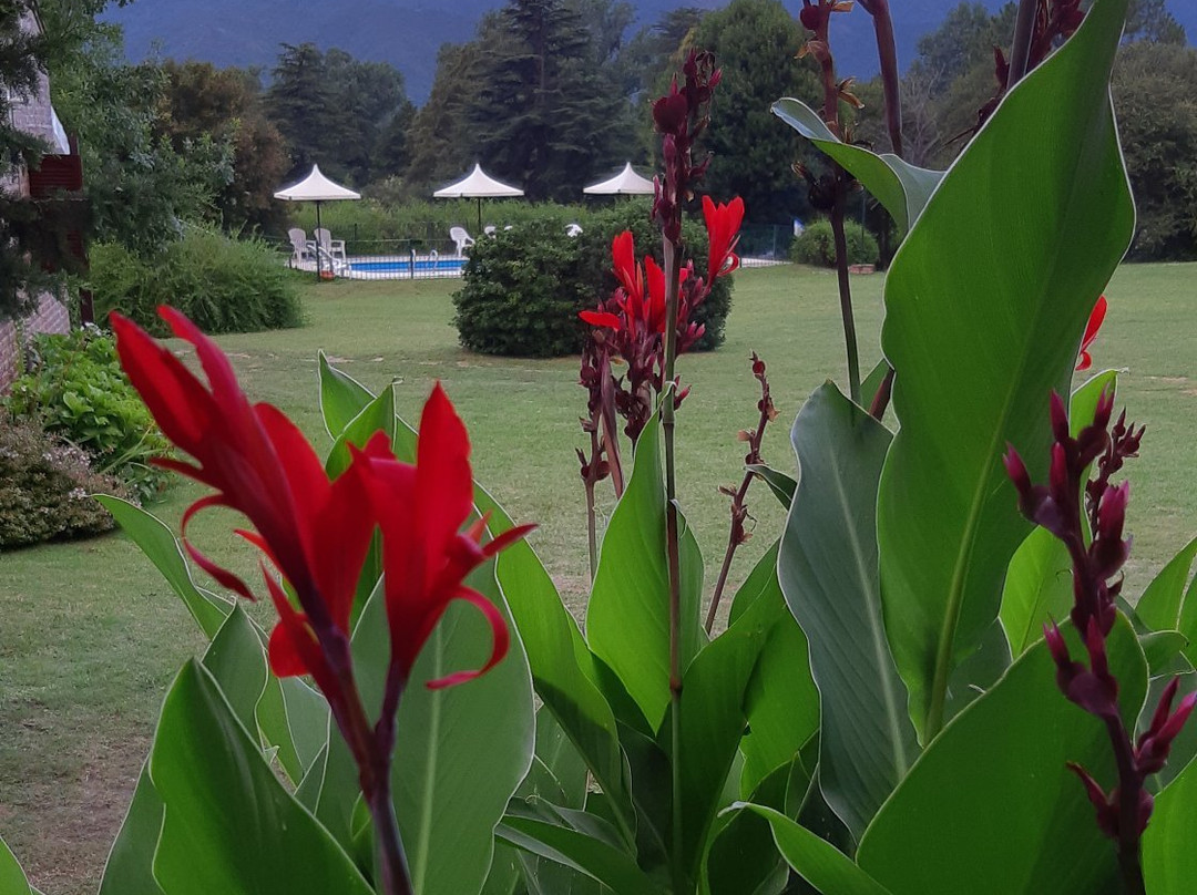 Cabanas Calicanto主图