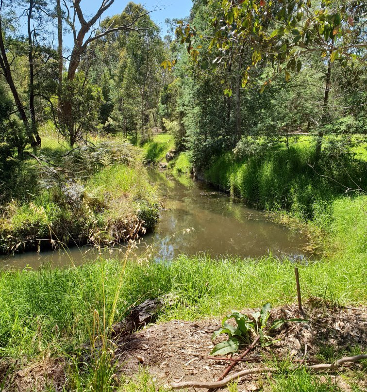 Mullum Mullum Creek Trail景点图片