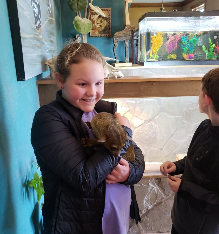 SafARI TAILS - Teaching about Animals In Live Shows景点图片