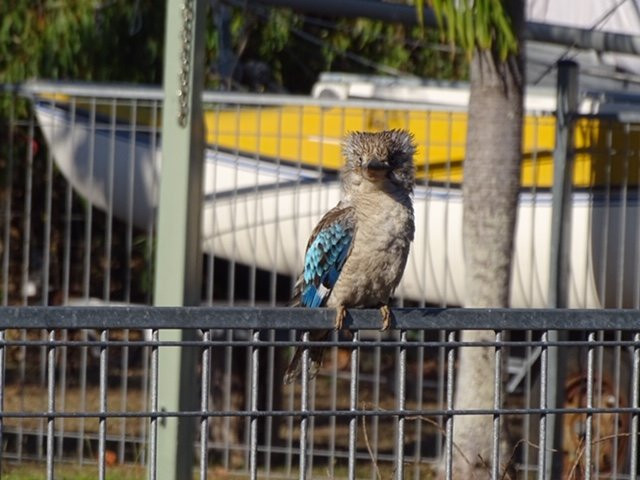 Magnetic Island Bed & Breakfast主图