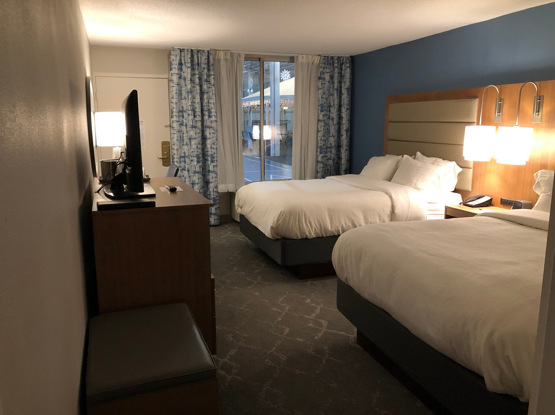 丰迪拉克假日酒店主图