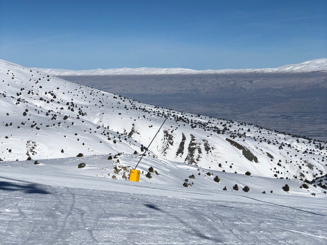 Ergan Dagi ve Kayak Merkezi景点图片