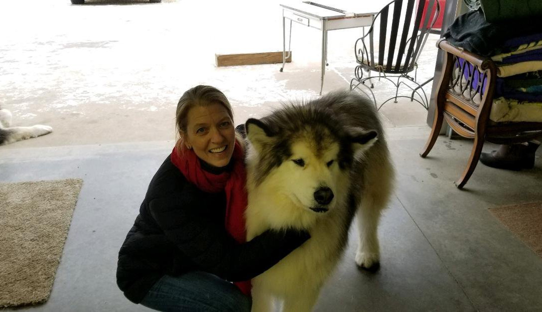 Plumery Tails-Bellevue必去景点