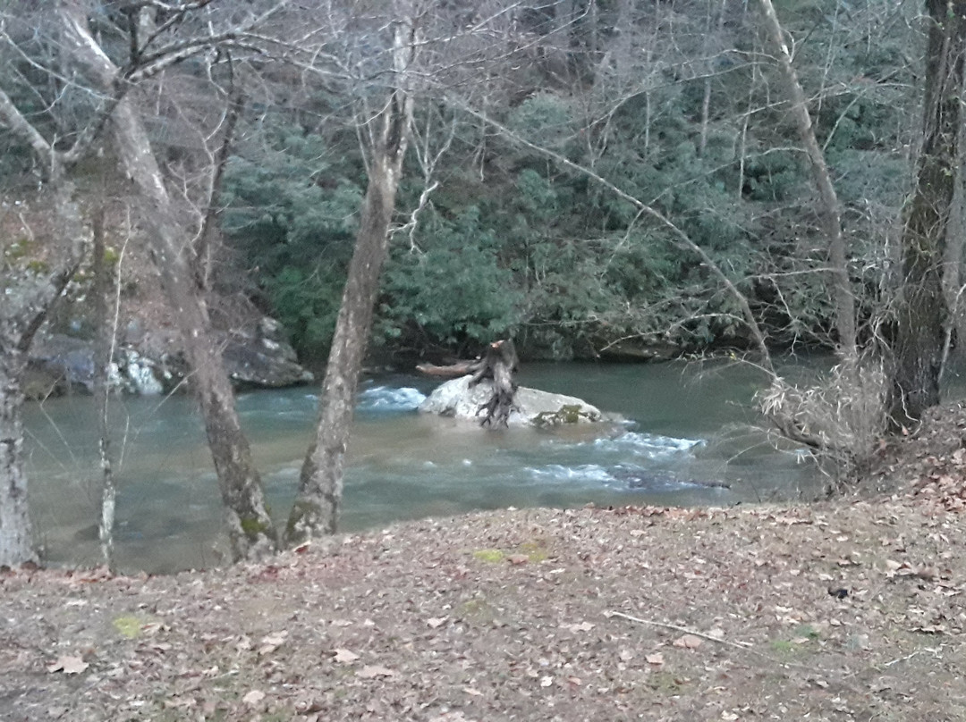 Stoney Fork Campground and B&B主图