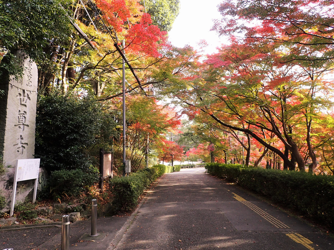 Higashi Park景点图片