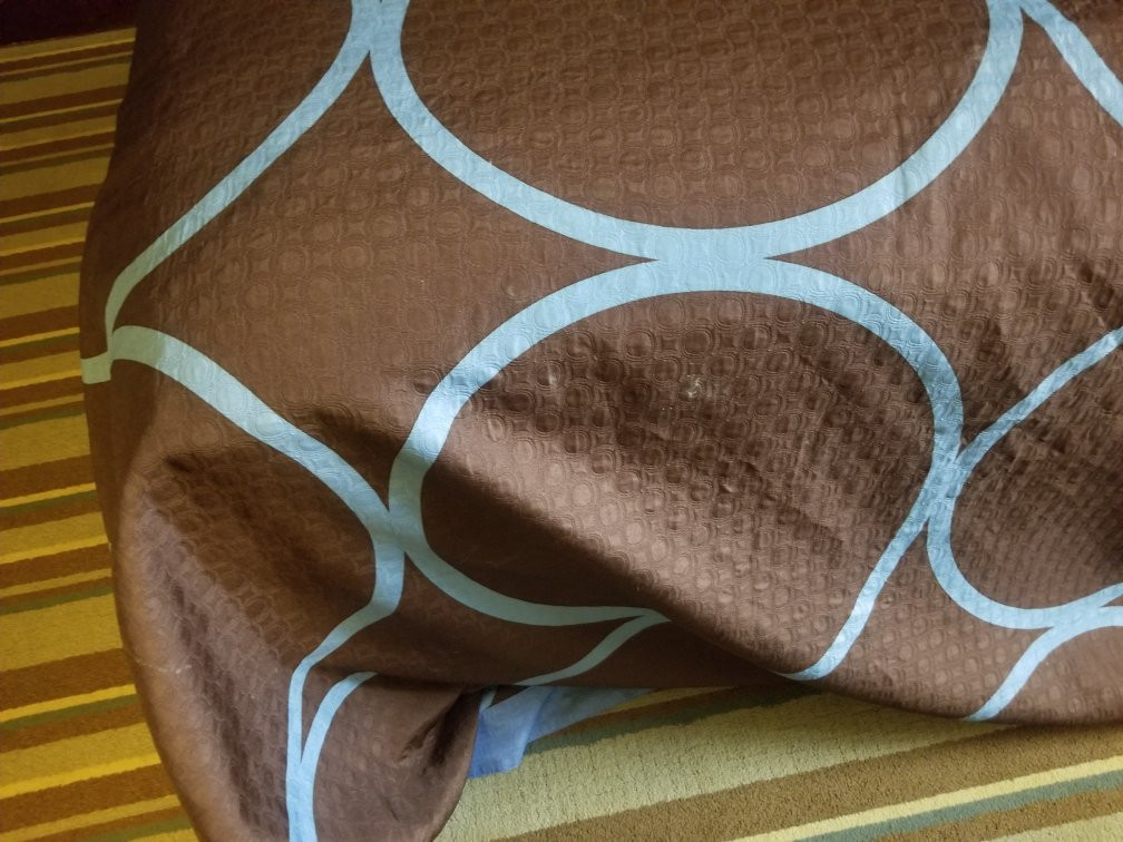 Super 8 by Wyndham Caryville TN主图