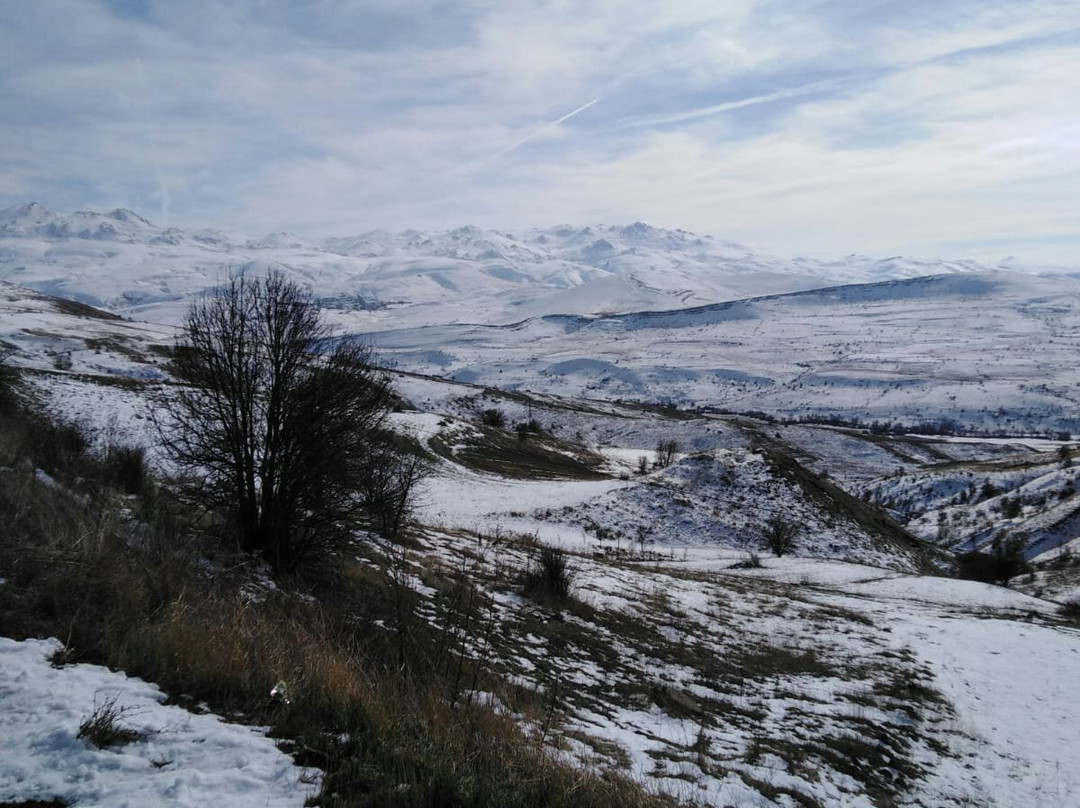 Zara旅游攻略图片