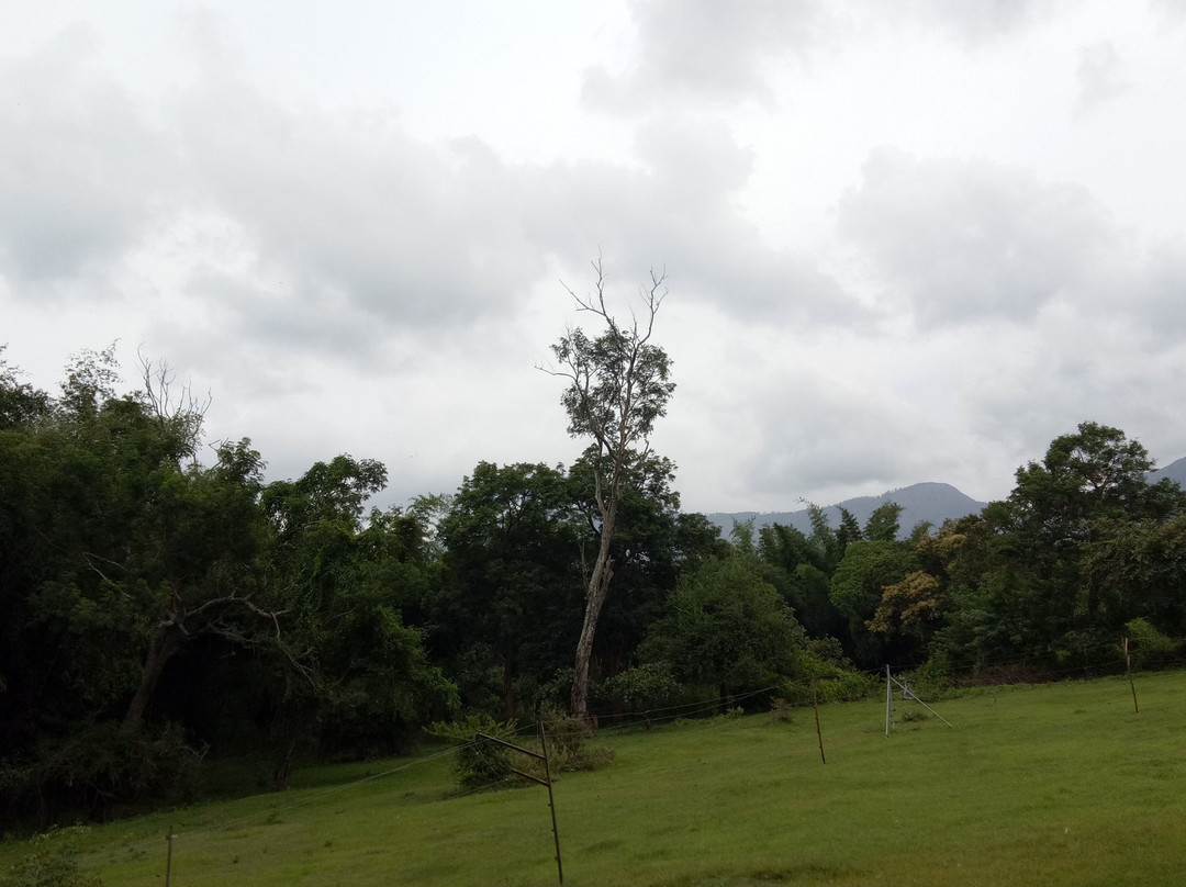 Secret Ivory Farm & Guest House主图