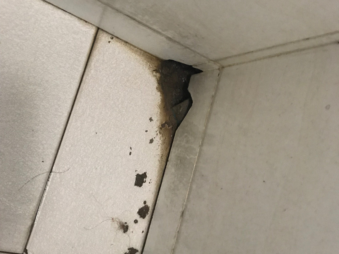 Royal Yadanarbon Hotel主图