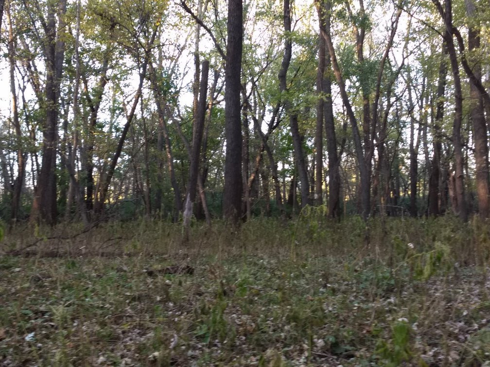 Walnut Woods State Park-西得梅因必去景点