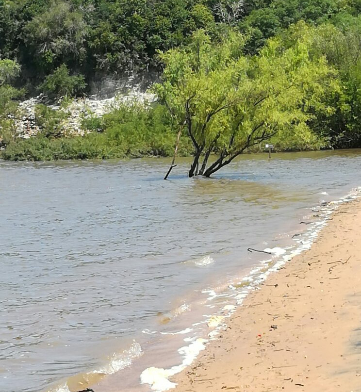 Parque Nacional El Palmar景点图片