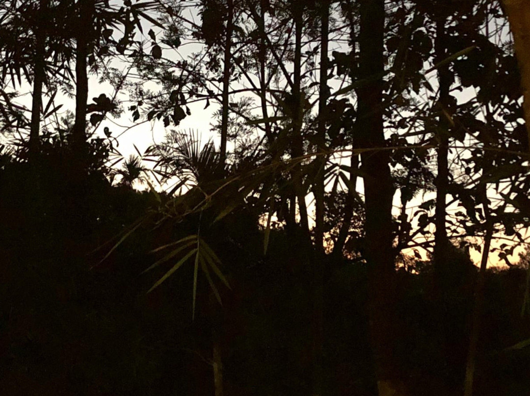 Willow Resorts主图