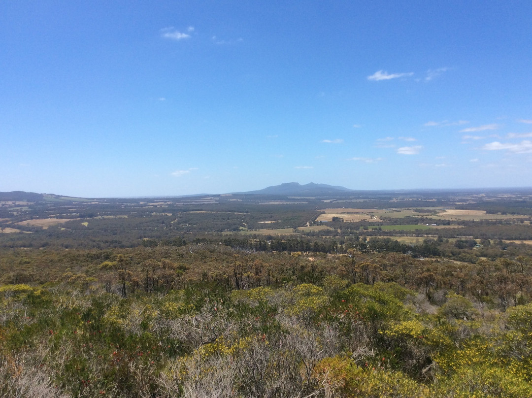 Mount Barker Hill Lookout景点图片