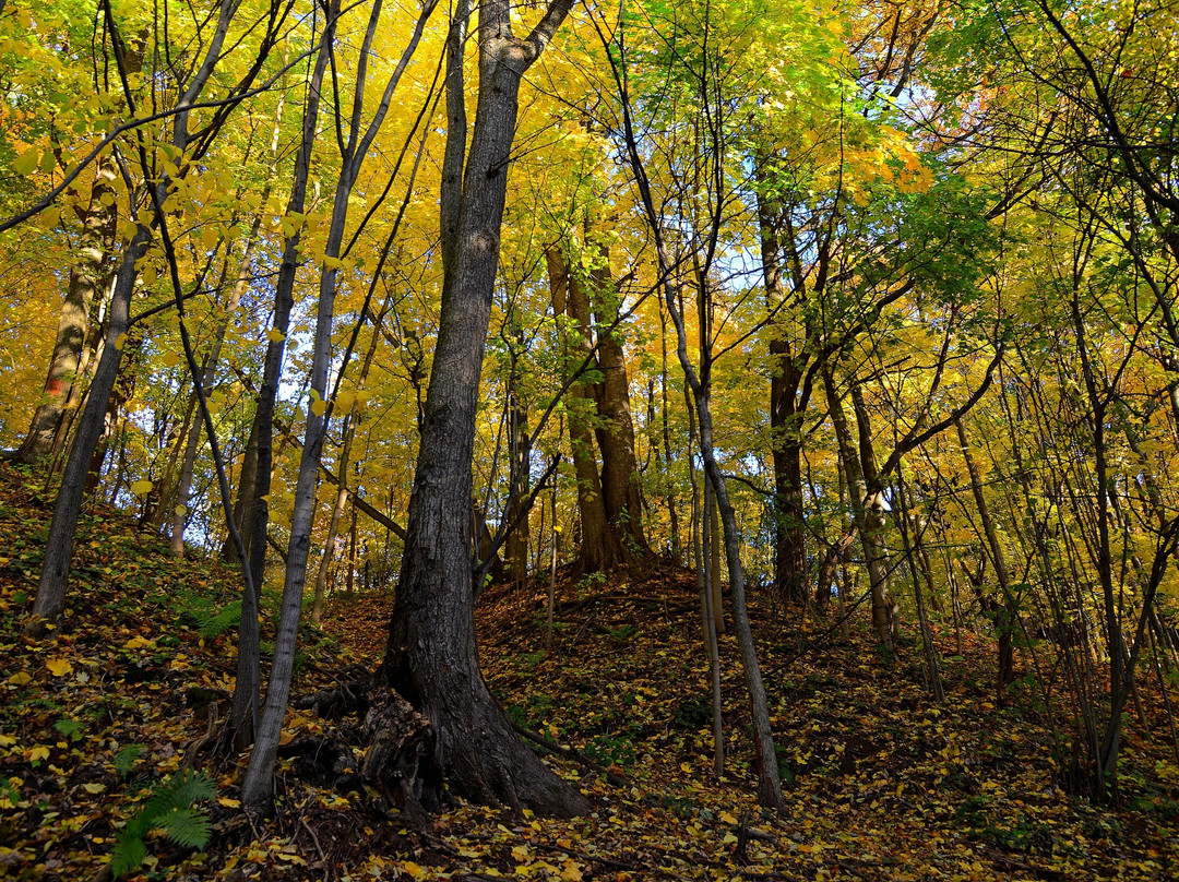 Park Valley of River Skhodnya-莫斯科必去景点