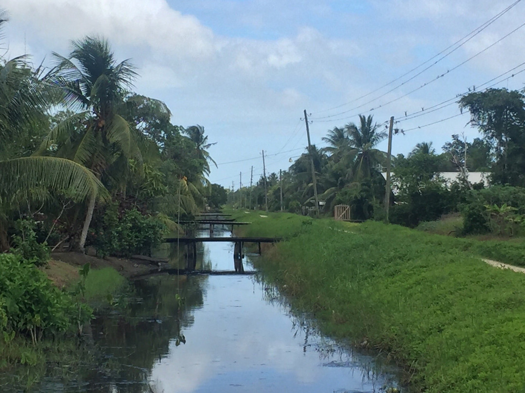 Cardy Adventures & Bike Rental-帕拉马里博必去景点