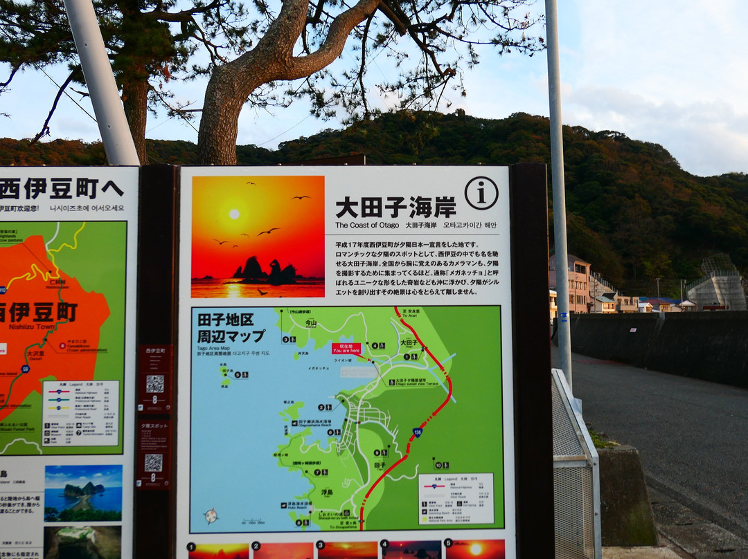 Otago Beach-西伊豆町必去景点