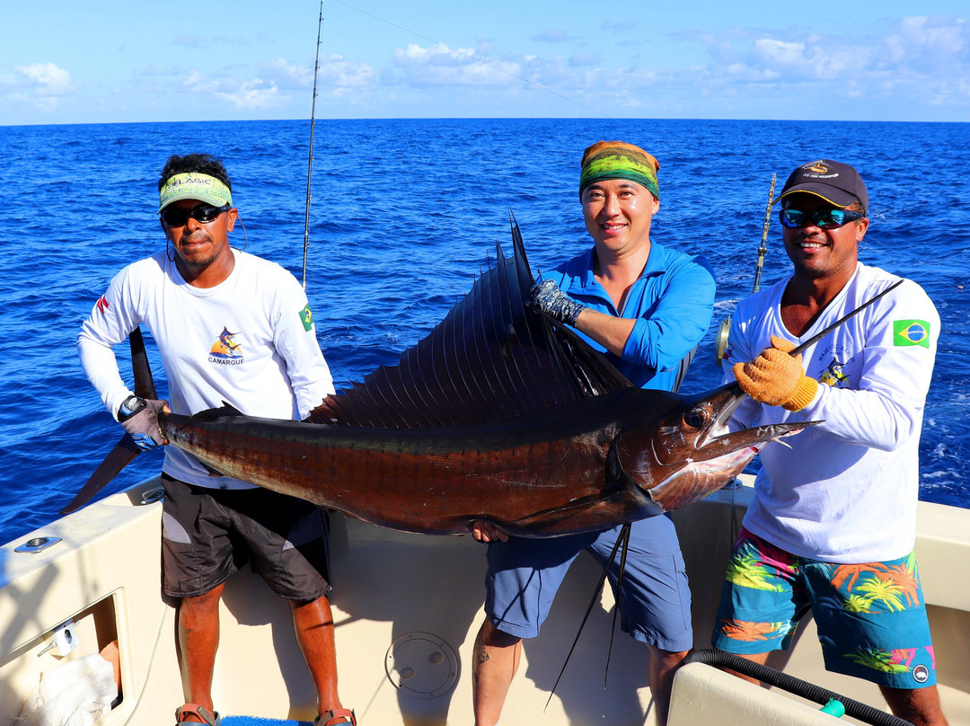 Majestic Marlin Brazil-Canavieiras必去景点