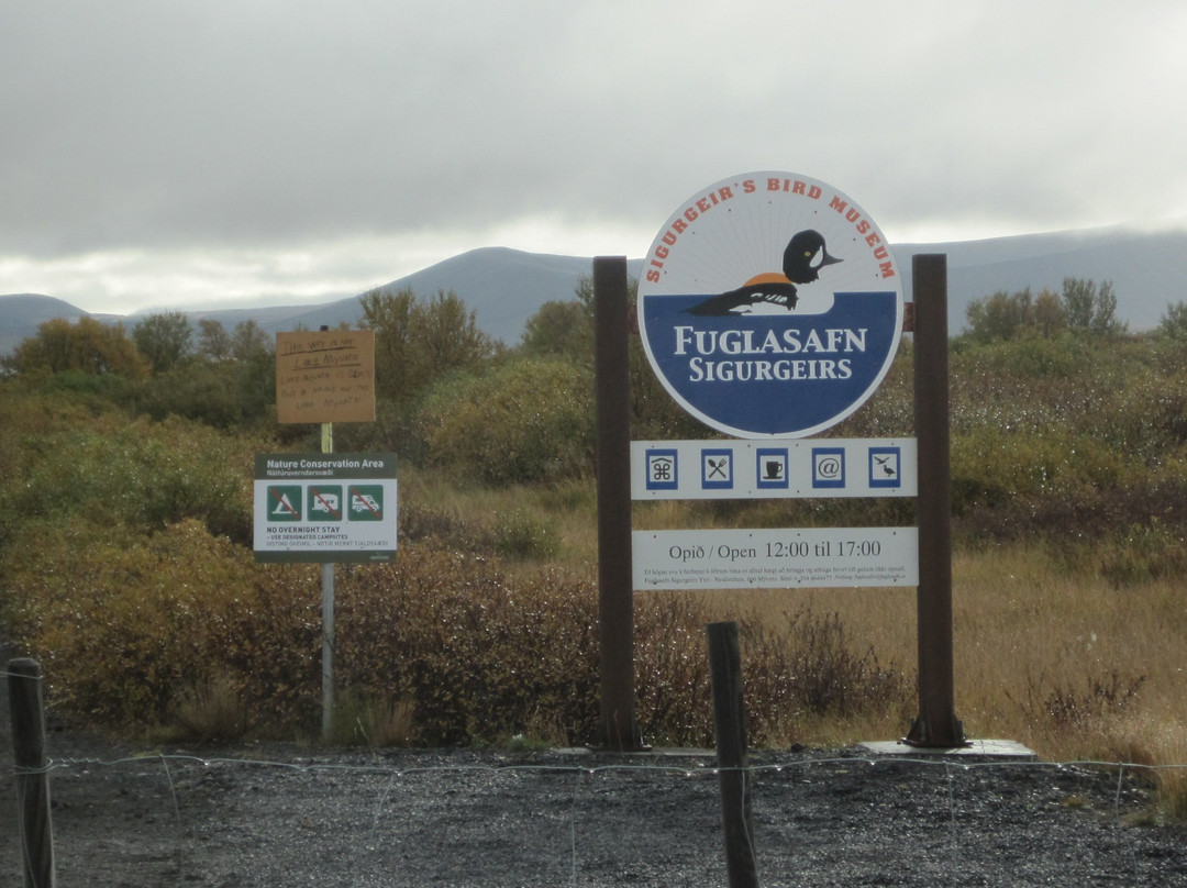 Sigurgeirs Bird Museum-雷克雅里德必去景点