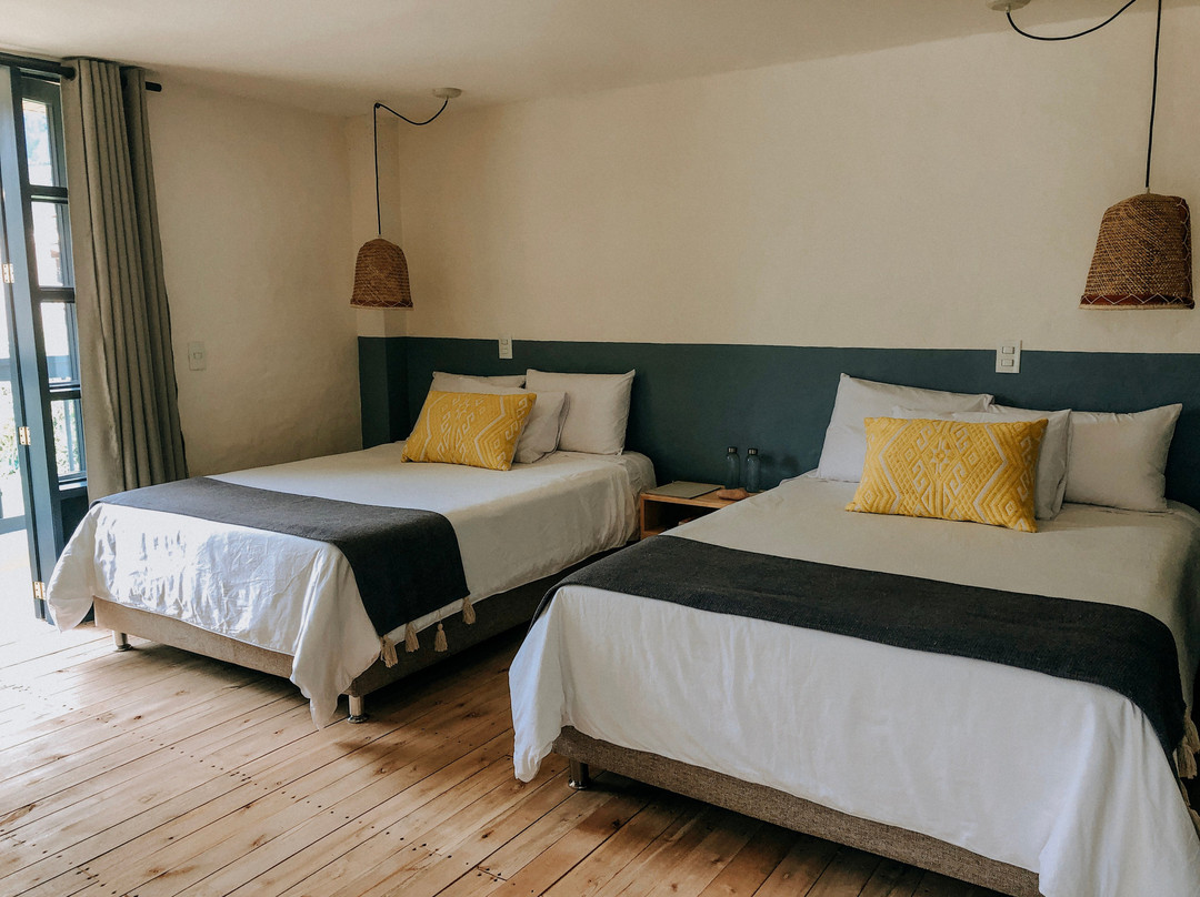 Hotel Plantación主图