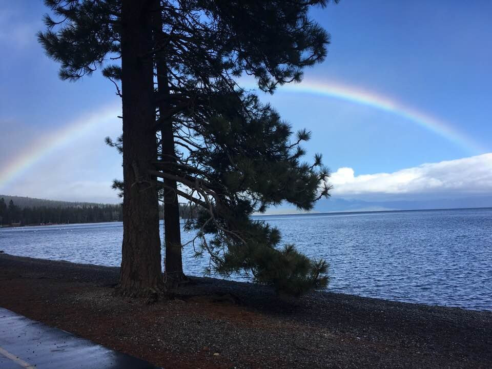 Pepper Tree Inn主图