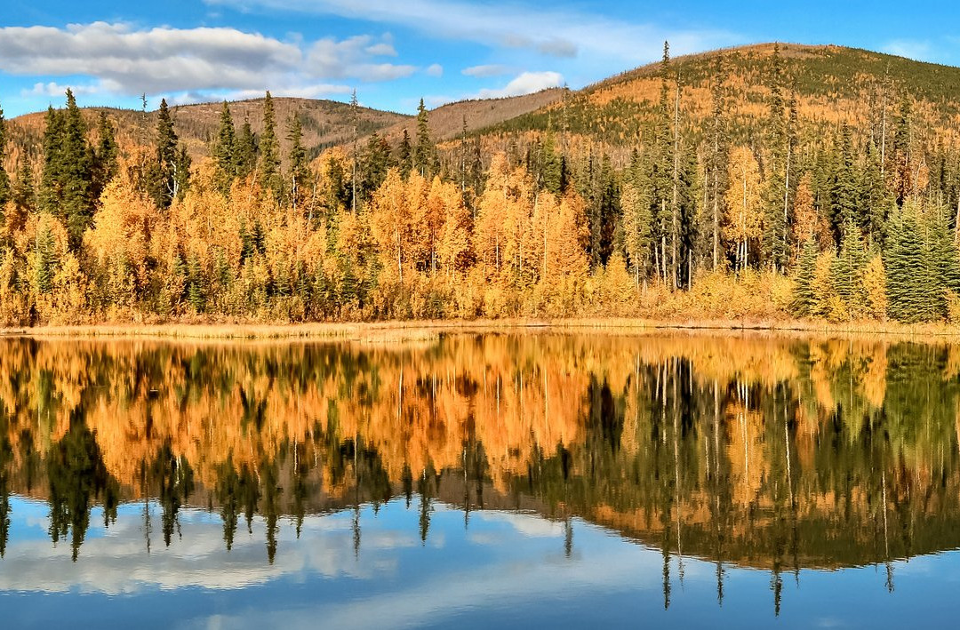 null-费尔班克斯