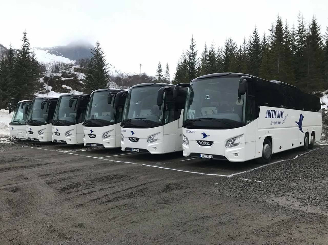 Arctic Buss Lofoten景点图片