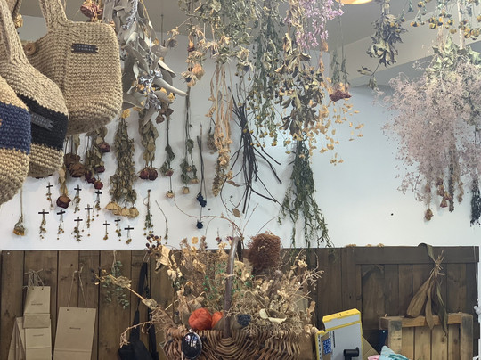 Susie Pocket-佐贺市必去景点